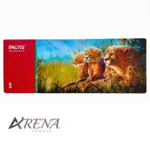 مداد رنگی فکتیس 50 رنگ جعبه فلزی